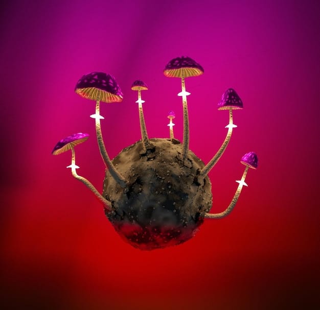 Nuclear Arms Race: Understanding the Global Consequences