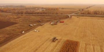 US Agriculture Labor Crisis: Immigration and Tech Solutions - Cover Image