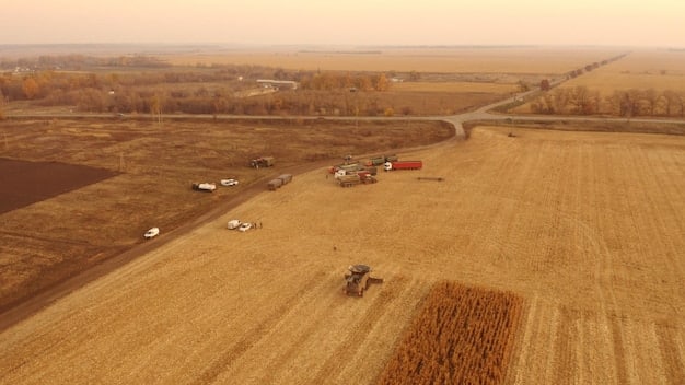 US Agriculture Labor Crisis: Immigration and Tech Solutions