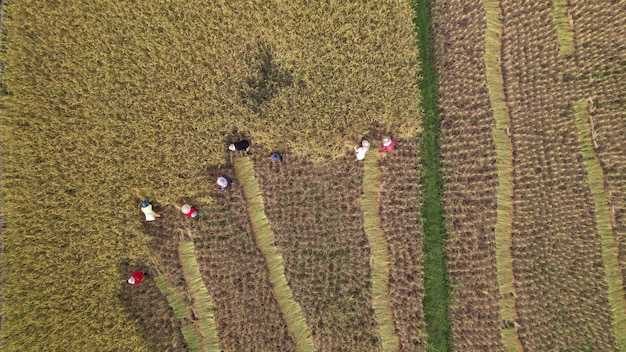 Border Security Impact on Seasonal Farm Workers in 2025: US Labor Market