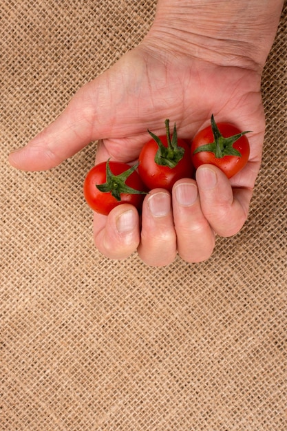A close-up photograph of a weathered hand holding freshly picked tomatoes. The focus is on the texture of the skin and the dirt under the fingernails, symbolizing the hard work and dedication of seasonal agricultural workers.