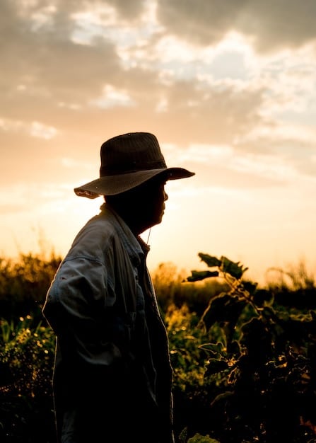An image of migrant farmworkers harvesting crops under the sun, with a focus on their weary but determined faces, highlighting both the hardships and the importance of their contribution to the American economy.