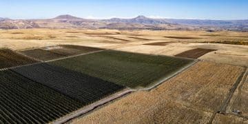 Latest Advancements in Renewable Energy Technology in the US - Cover Image