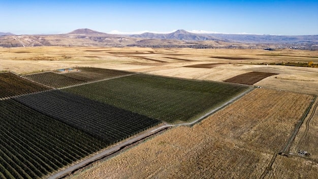Latest Advancements in Renewable Energy Technology in the US