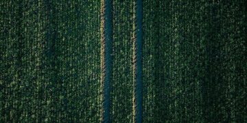 Precision Agriculture: How US Farmers Can Boost Crop Yields by 10% - Cover Image