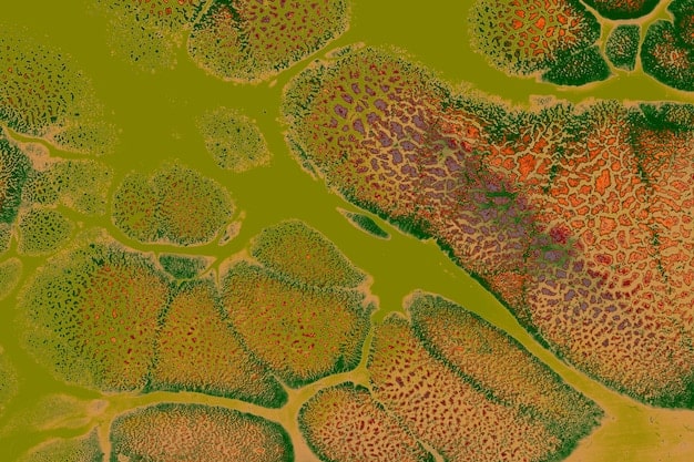A satellite image of a large agricultural area in the US, highlighting different vegetation indices to show crop health and stress levels.