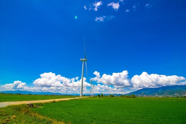 Renewable Energy Investments: Maximizing Returns with Federal Subsidies