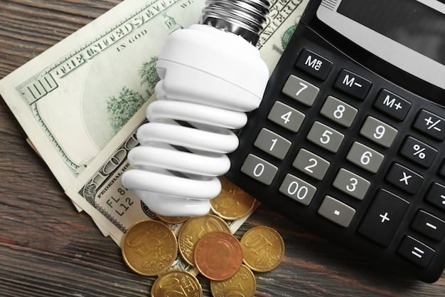 A close-up of a financial document highlighting key subsidy details, such as tax credits and grant amounts, representing the tangible benefits of federal support for renewable energy projects.