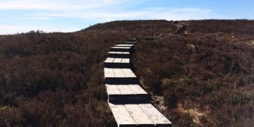 Accessible US National Parks: A Guide for Travelers with Disabilities Accessible US National Parks: A Guide for Travelers with Disabilities - Cover Image