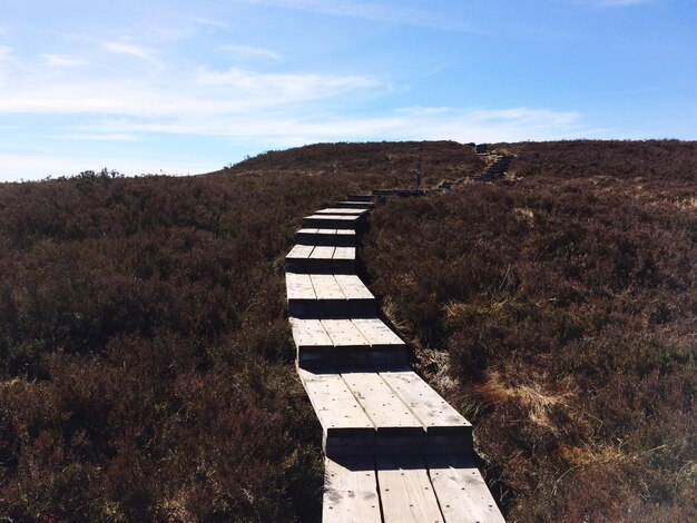 Accessible US National Parks: A Guide for Travelers with Disabilities