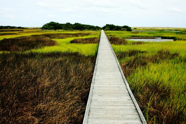 A close-up shot of a wooden boardwalk trail in Everglades National Park, showcasing the flat, even surface and protective railings. The lush vegetation and diverse ecosystem of the Everglades surround the trail.