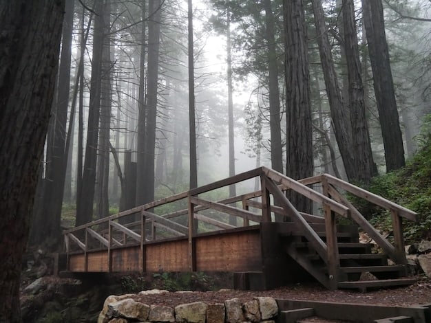 An accessible cabin at Yosemite National Park with a ramp leading to the entrance. The cabin is surrounded by tall trees and natural scenery.