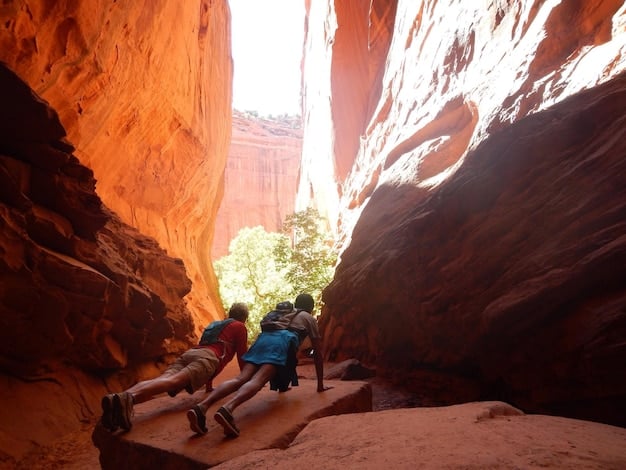 A family hiking on a trail in Zion National Park, surrounded by towering red rock formations. The trail is well-maintained, and the family is dressed in hiking gear.