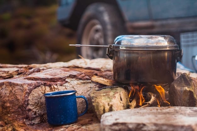 A close-up shot of a camping stove with a pot of food cooking on it, surrounded by utensils and ingredients, illustrating a budget-friendly meal preparation in a national park setting.