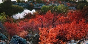 The Best US National Parks for Fall Foliage: A Colorful Guide - Cover Image