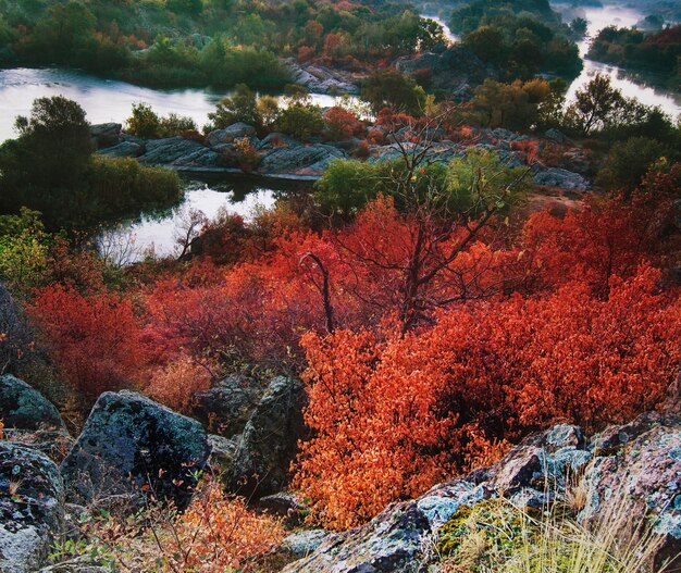 The Best US National Parks for Fall Foliage: A Colorful Guide