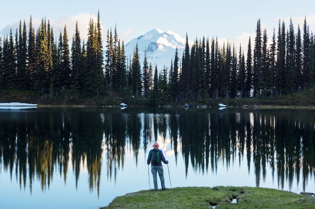 A serene image of a hiker standing beside a crystal-clear alpine lake, surrounded by dense evergreen trees. The lake perfectly reflects the surrounding landscape.