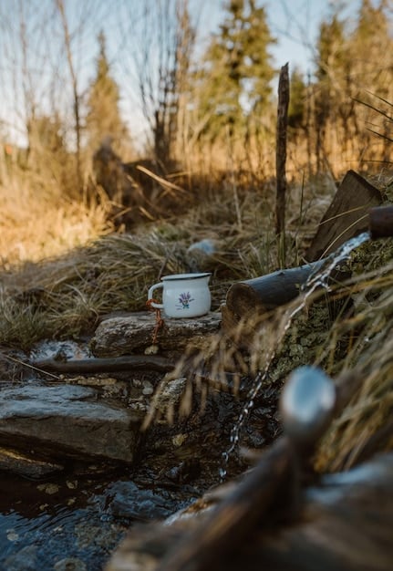 A close-up shot of a well-organized campsite in a national park. The image includes a tent, cooking equipment, and food supplies, showcasing how to camp efficiently and affordably. The overall scene is set in a picturesque natural environment with trees and mountains.