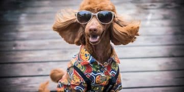 Pet-Friendly US Travel: The 2025 Guide to Dog-Friendly Destinations - Cover Image