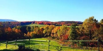 Agritourism in the US: Your 2025 Guide to Farm Experiences - Cover Image